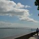 A man walks next to a sea wall, which rises above the calm, blue expanse of Biscayne Bay.